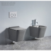 Унитаз подвесной Azario Teramo 490*340*350 безободковый, с сидением микролифт, черный матовый (AZ-052-MB)