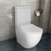 Унитаз-компакт Azario Renda 615х365х840 напольный, безободковый,  в комплекте с арматурой, сиденье микролифт, белый (AZ-8693)