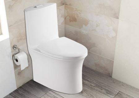 Унитаз моноблок Azario Luna 770x390x710 напольный, горизонтальный слив, сиденье дюропласт микролифт (AZ-1037)